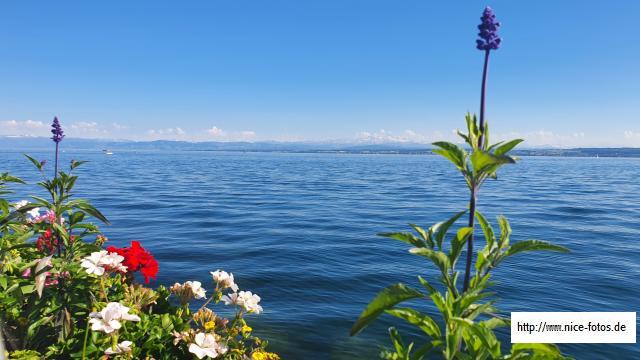  Mit Blick auf Österreich und Schweiz